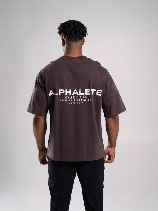 Stone Wash Alpha Tee - Walnut